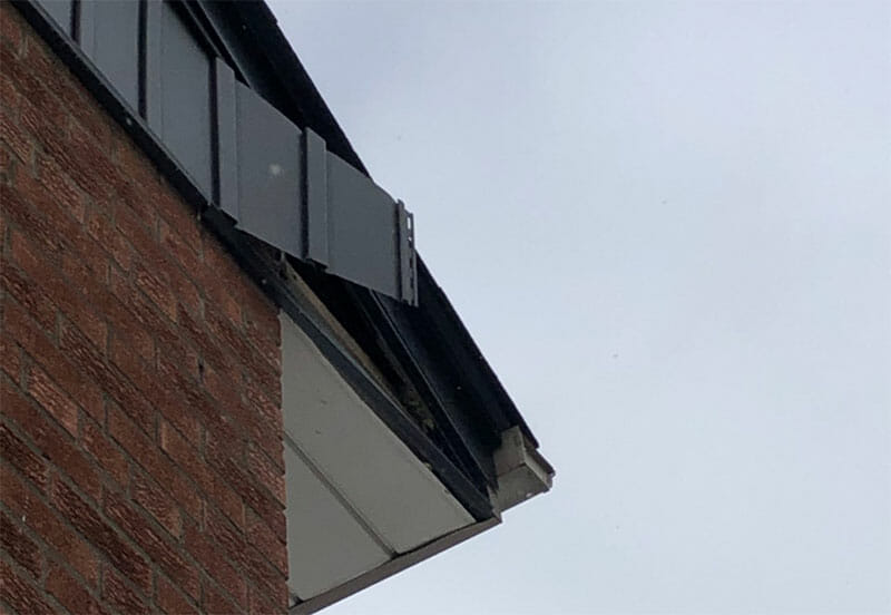 Raccoons can damage your home trying to get in. This home has been ripped along the rooftop.