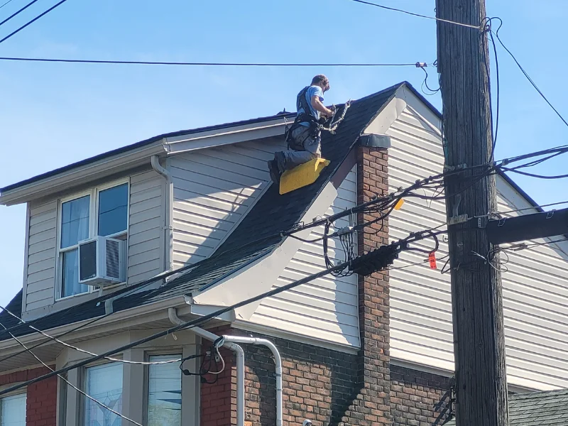A wildlife removal expert securing a Hamilton home’s roof to prevent raccoons and squirrels from re-entering. Hamilton wildlife removal services include exclusion work to keep animals out for good.