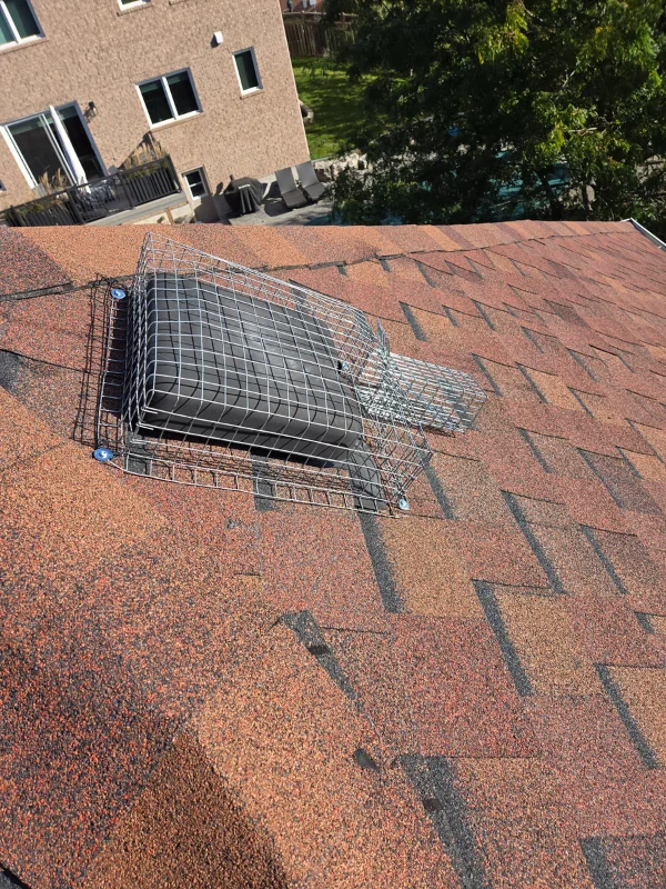 A wildlife professional installs a one-way door to humanely evict squirrels from an attic. Our squirrel control methods prevent re-entry.